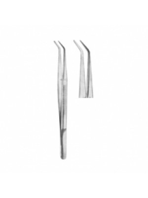 Dental Tweezers